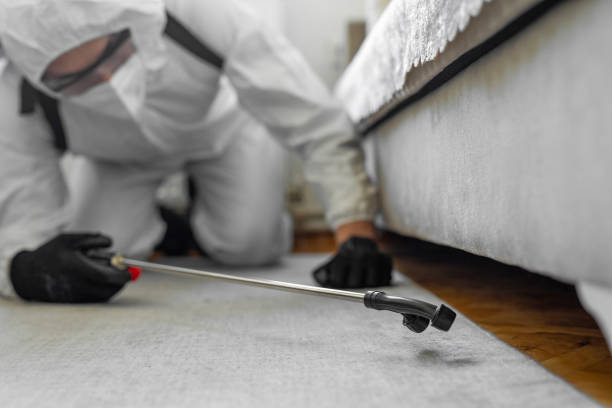 Professional Termite Control technician working in Genola, UT