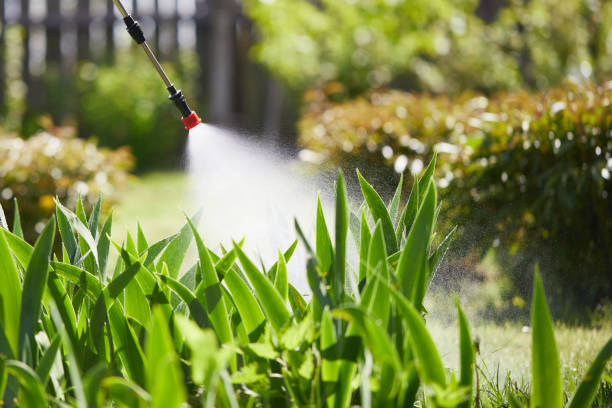 24/7 Emergency Termite Control experts in Genola, UT