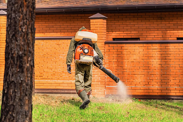 Trusted Emergency Pest Control service in Genola, UT - Nex Pest Control